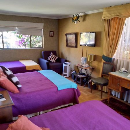 Bed & Breakfast Blumen Haus Santiago Dış mekan fotoğraf