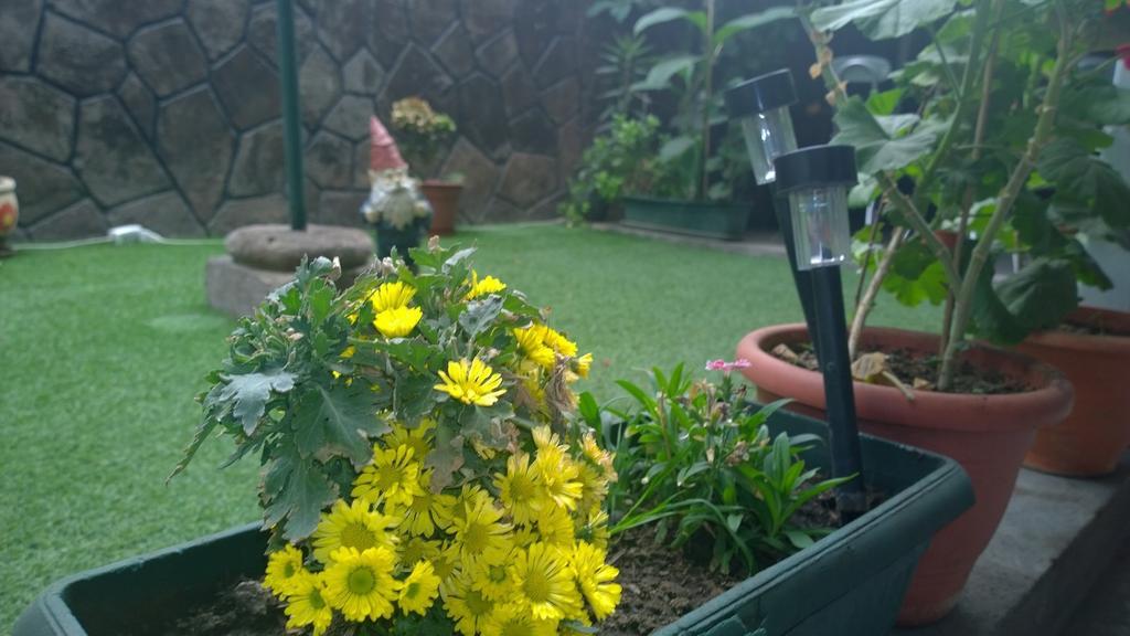 Bed & Breakfast Blumen Haus Santiago Dış mekan fotoğraf
