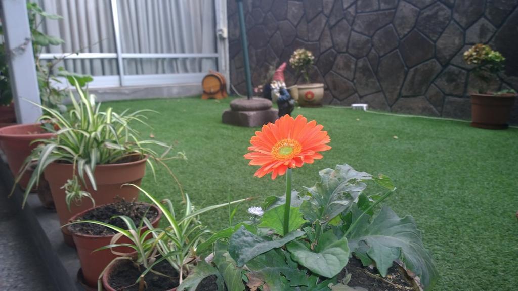 Bed & Breakfast Blumen Haus Santiago Dış mekan fotoğraf