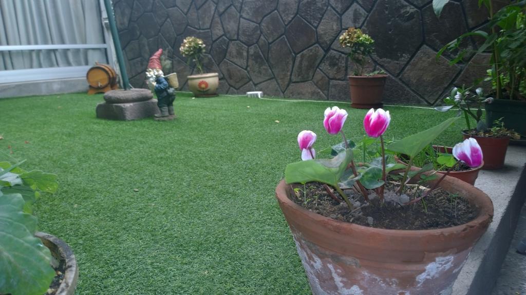 Bed & Breakfast Blumen Haus Santiago Dış mekan fotoğraf